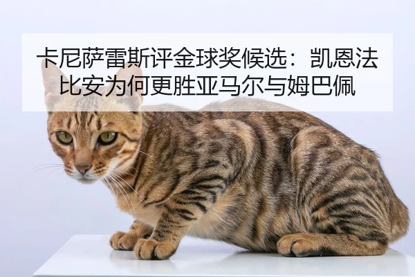 卡尼萨雷斯评金球奖候选：凯恩法比安为何更胜亚马尔与姆巴佩